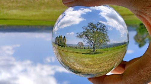 Cropped hand holding globe