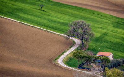 High angle view of agricultural field