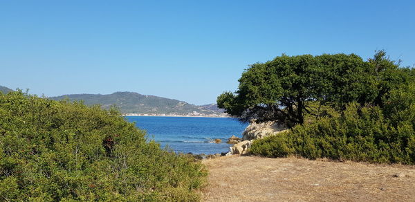 Scenic view of sea against clear sky