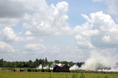Trees on grassy field against cloudy sky