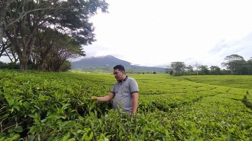 Asian man selecting the best tea at tea garden