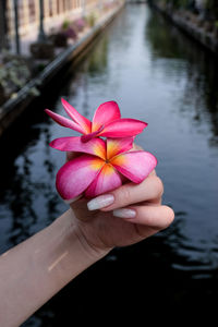 Cropped hand of woman holding flowers against artificial pond in city