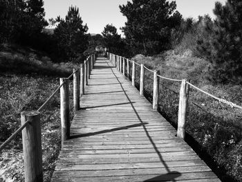 Road passing through forest