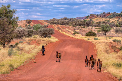 People walking on landscape against sky