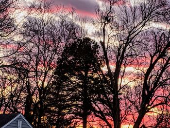 Low angle view of bare trees against sky during sunset