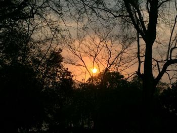 Silhouette trees against sky during sunset