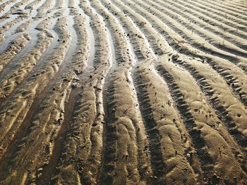 High angle view of tire tracks on sand