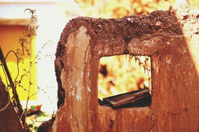 Close-up of rusty wood