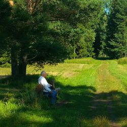 People relaxing on grassy field