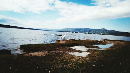 Scenic view of lake against cloudy sky