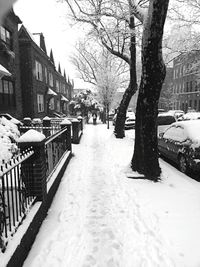 Snow covered trees in city