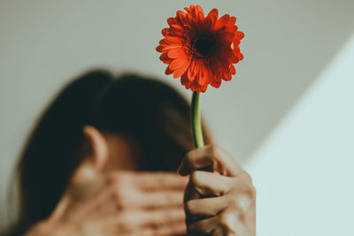 Close-up of woman holding yellow flower