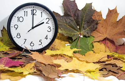 Close-up of clock on autumn leaves