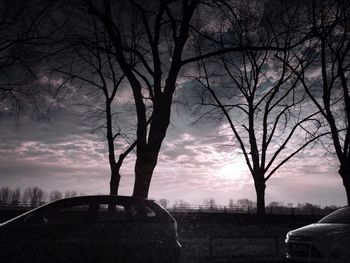 Bare trees against sky