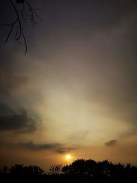 Low angle view of silhouette trees against sky during sunset