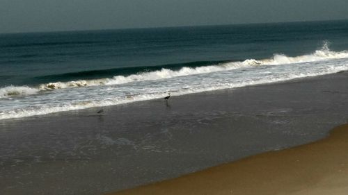 Scenic view of beach