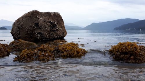 Rocks on sea shore against sky