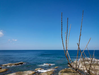 Scenic view of sea against blue sky