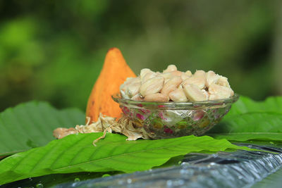 Close-up of fresh leaves in bowl