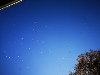 Low angle view of birds flying in sky