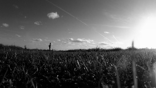 Scenic view of grassy field against sky