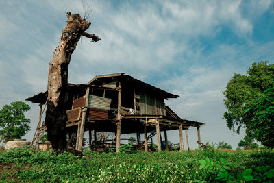 Abandoned house by tree against sky