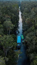 High angle view of train amidst trees in forest