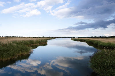 Scenic view of river and grass field