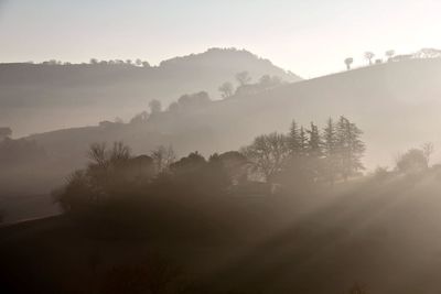 Silhouette trees on landscape against sky at morning