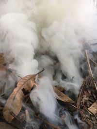 Smoke emitting from volcanic