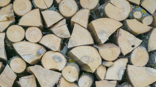 Full frame shot of logs in forest