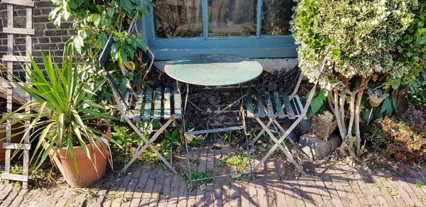 High angle view of potted plants in back yard