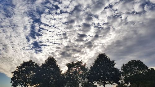 Low angle view of trees against sky