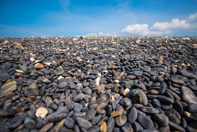 Rocks on beach against sky