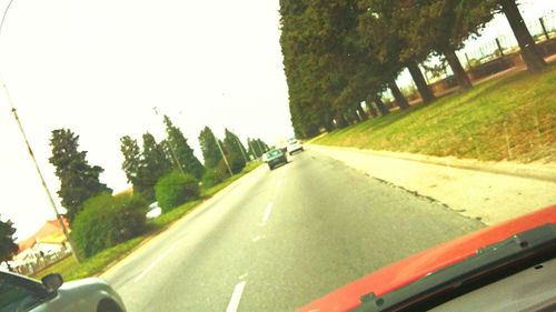 Vehicles on country road along trees