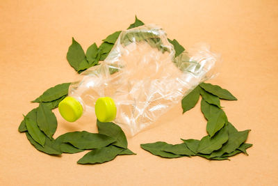 High angle view of green leaves on table