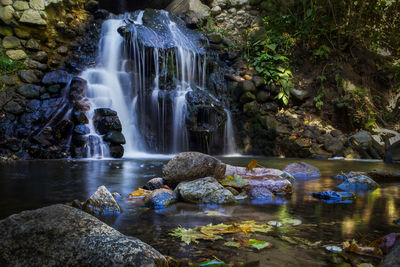 Scenic view of waterfall in forest