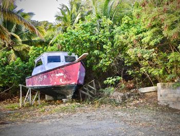 Abandoned vehicle against trees