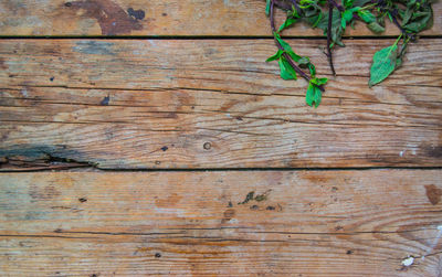 Full frame shot of wooden plank