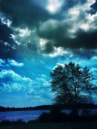 Low angle view of silhouette trees against sky