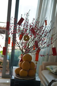 Close-up of fruits hanging on tree