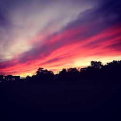 Silhouette trees against dramatic sky during sunset