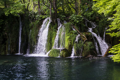 Scenic view of waterfall in forest