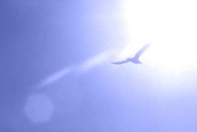 Low angle view of airplane flying against clear blue sky