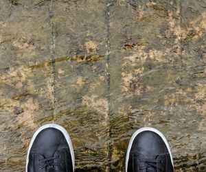 Low section of person standing on ground