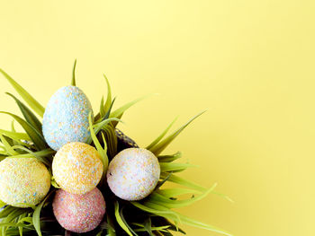 Close-up of fruits against blue background