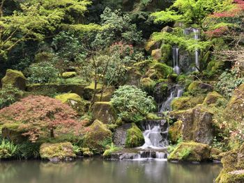 Waterfall at portland japanese gardens in oregon in the dall