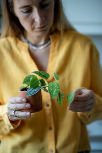 Woman gardener examines houseplant scindapsus in small clay pot closeup. plant lover, hobby.