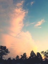 Low angle view of silhouette trees against sky