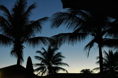 Silhouette palm trees against sky at dusk